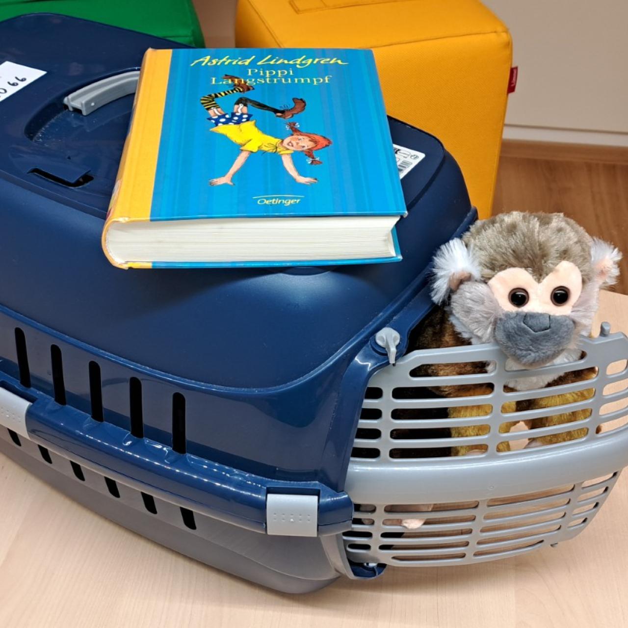 Katzentransportbox